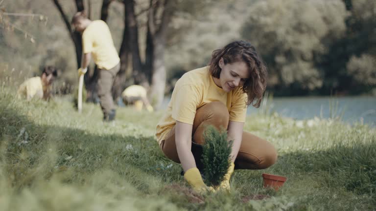 Lawn Irrigation Installation and Maintenance in Missoula, MT